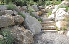 there are many rocks and plants along this path