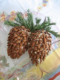 two pine cones are sitting on a glass plate