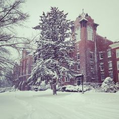 a large brick building surrounded by snow covered trees