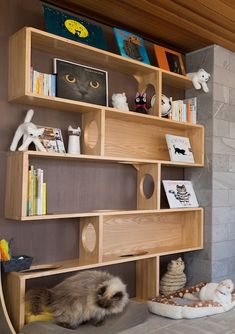 a bookshelf that is made out of wood