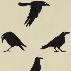 four black crows flying in the sky