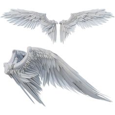 two white angel wings on a white background with clippings to the left and right