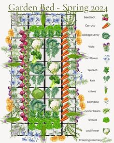 the garden bed - spring 2012 is shown in this image, with different types of flowers and