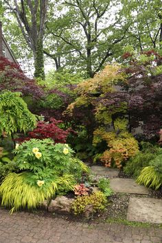 the garden is full of colorful plants and trees