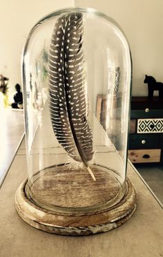 a glass clochet with some feathers in it on top of a wooden table