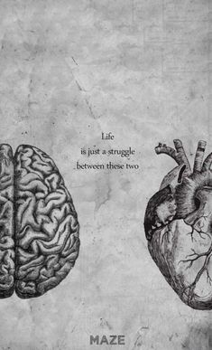 two drawings of the human heart and brain