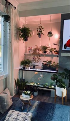 a living room filled with lots of plants