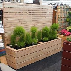 a wooden planter filled with lots of green plants