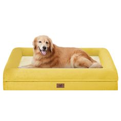 a golden retriever dog laying on top of a yellow rectangular bed with his tongue hanging out