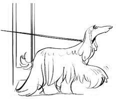 a line drawing of a dog looking out the window at something on the ground in front of him