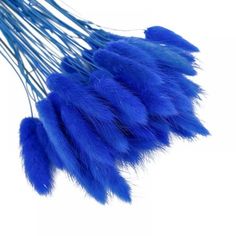 blue feathers are arranged on top of each other