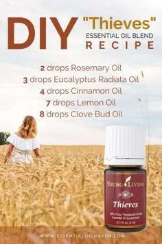 A DIY Thieves Oil Recipe to create your own version of the popular Young Living blend. #essentialoilhaven Theives Oil Recipe, Thieves Essential Oil Recipe, Thieves Oil Recipe, Diy Thieves, Antibacterial Essential Oils, Eo Blends, Young Living Thieves, Thieves Oil, Hippie Crafts