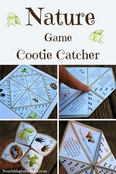 an image of a game catcher made out of paper