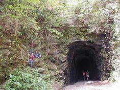 two people are sitting on the side of a tunnel with trees growing over it and one person is standing at the end