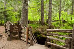 a wooden bridge over a small creek in the woods with stairs leading up to it