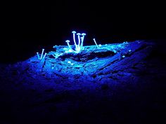 blue lights in the dark on top of a rock