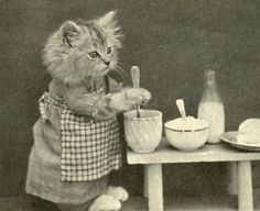 a cat that is standing up with a spoon in it's mouth and eating out of a bowl