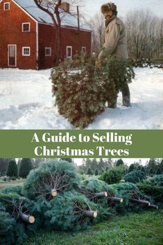 a man holding a christmas tree in front of a red barn with the words guide to selling christmas trees