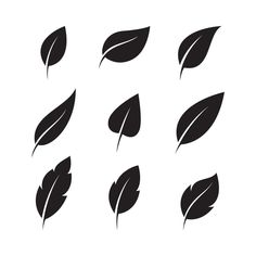 black leaves on white background, set of nine different shapes and sizes stock photo - premium royalty