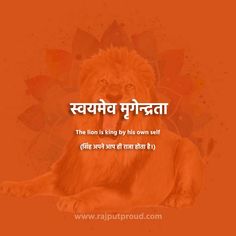 the lion is lying by his own self in hindi text, on an orange background