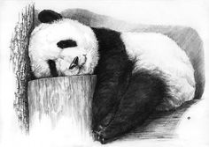 a black and white drawing of a panda bear sleeping on top of a tree stump