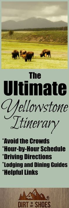 the ultimate guide to the ultimate yellowstone wilderness