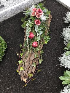 flowers are placed on top of a log in the ground next to other plants and shrubs