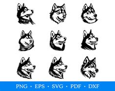 Husky Clipart, Husky Svg, Cup Print, Stencil Vinyl, Sign Stencils, Printed Cups, Affinity Designer, Siberian Husky, Cricut Explore