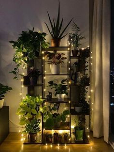 Home Decor Ideas Plant Rooms Cozy, Industrial Plant Shelves, How To Decorate An Octagon Shaped Room, Room Ideas Aesthetic With Plants, Plant Section In Room, Mirror Entire Wall, Decor Above Tub Wall, Plant On Shelves, Plant Aesthetic House Decor