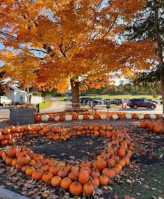 pumpkins are arranged in the shape of a heart