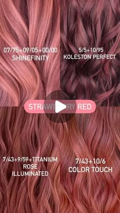 AntoniosZachos_wella🧿 on Instagram: "Happy Wellatine Red Formula’s ♥️🌹🎈🌷🩸 #wella_education" Strawberry Wine Hair, Matrix Rose Gold Formula, Auburn Hair Color Formulas Wella, Wella Hair Formulas, Wella Color Touch Formulas, Wella Education, Highlights Tutorial, Strawberry Red Hair