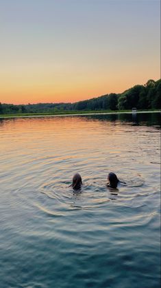 two people are swimming in the water at sunset or dawn with their heads above the water's surface