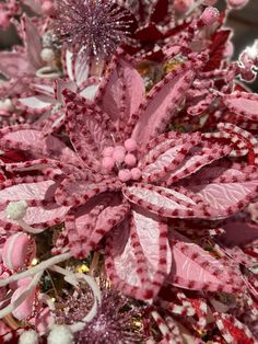 pink and red flowers are in the center of this christmas tree