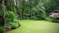 a lush green lawn surrounded by trees and bushes