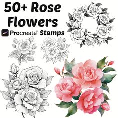 the 50 + rose flowers procreate stamps are available for use in your project