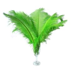 a glass vase with some green feathers in it