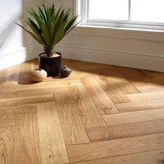 a potted plant sitting on top of a hard wood floor next to a window