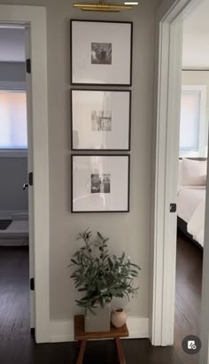 a white room with pictures on the wall and a potted plant