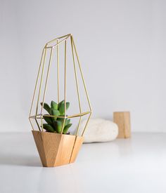 a potted plant sitting on top of a white table next to a wooden stand