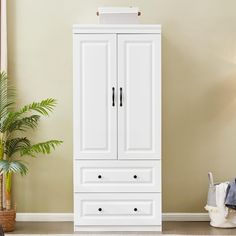 a white armoire sitting next to a potted plant in a room with beige walls