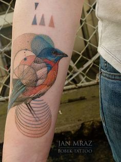 a colorful bird tattoo on the arm