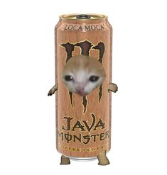 Sad cat in a can, monster, java coffee loca moca