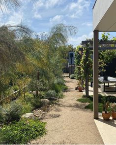 an outdoor area with trees and plants on either side of the walkway that leads to a covered patio