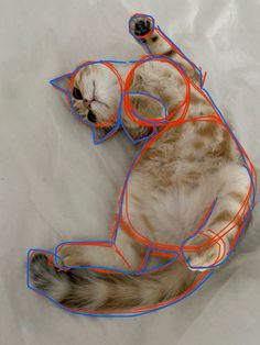 a cat laying on top of a white sheet covered in blue and orange string art