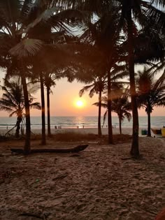 the sun is setting behind some palm trees on the beach in front of the ocean