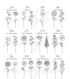 the different types of flowers and their names are shown in this handwritten drawing technique