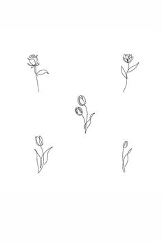 four flowers are drawn on a white paper with one line and the other is black