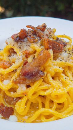 pasta with bacon and parmesan cheese on a white plate in front of some trees