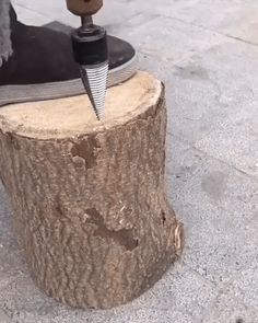 a person standing on top of a tree stump with an electric drill in their hand