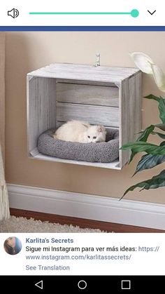 a white cat laying on top of a dog bed in a wooden crate next to a potted plant